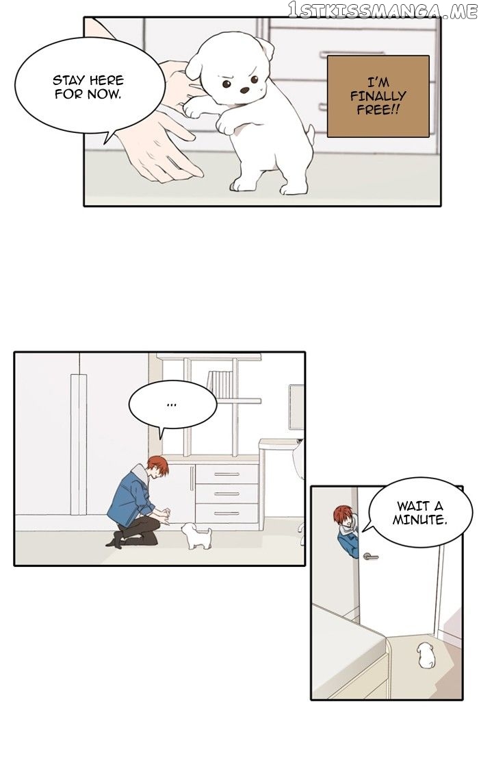 Read A Good Day to Be a Dog ENGLISH Manga Online