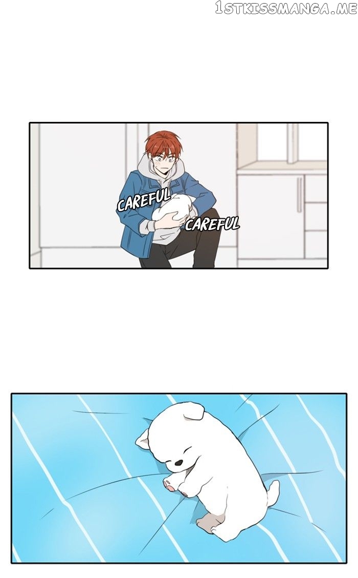 Read A Good Day to Be a Dog ENGLISH Manga Online