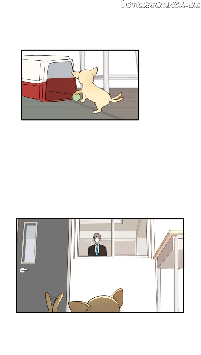 Read A Good Day to Be a Dog ENGLISH Manga Online