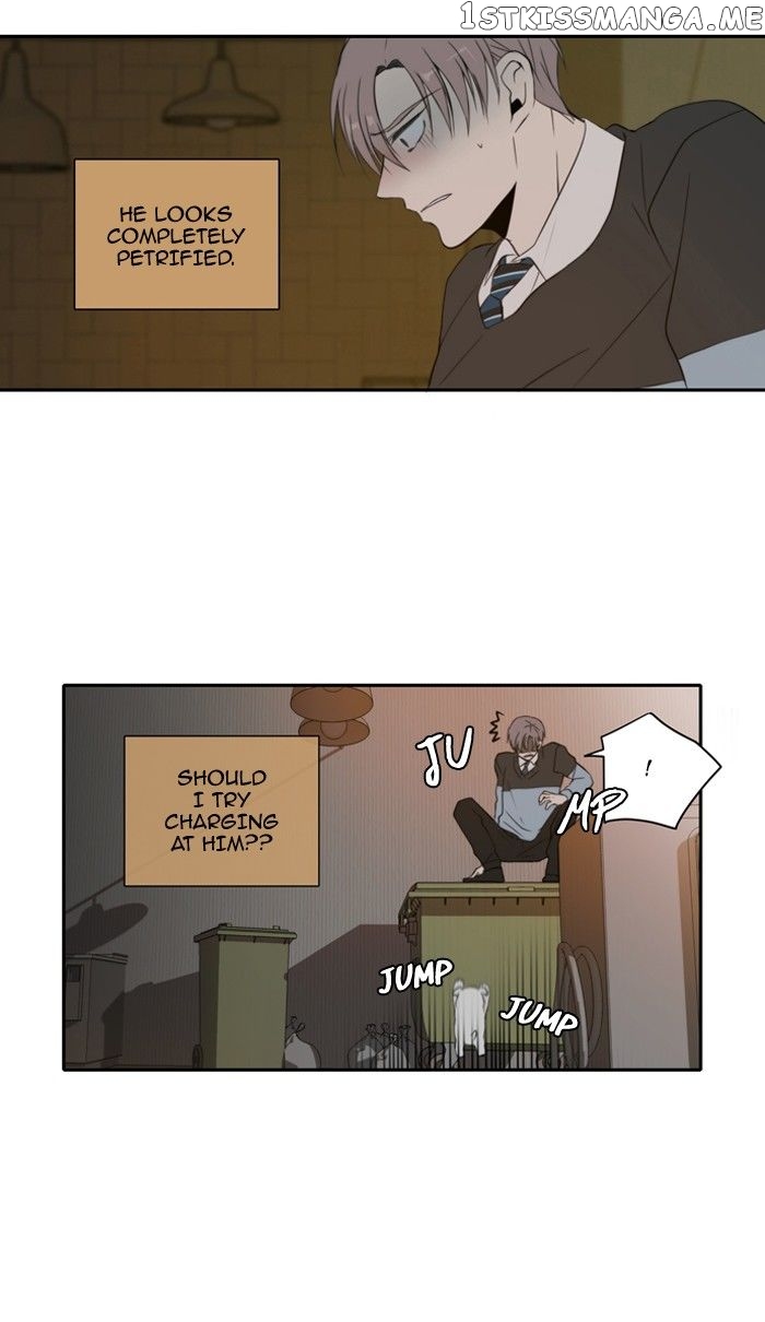 Read A Good Day to Be a Dog ENGLISH Manga Online