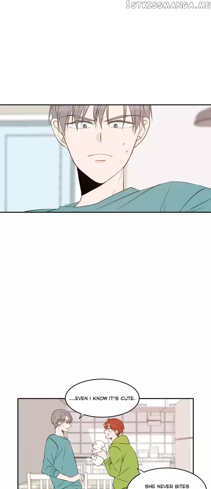 Read A Good Day to Be a Dog ENGLISH Manga Online