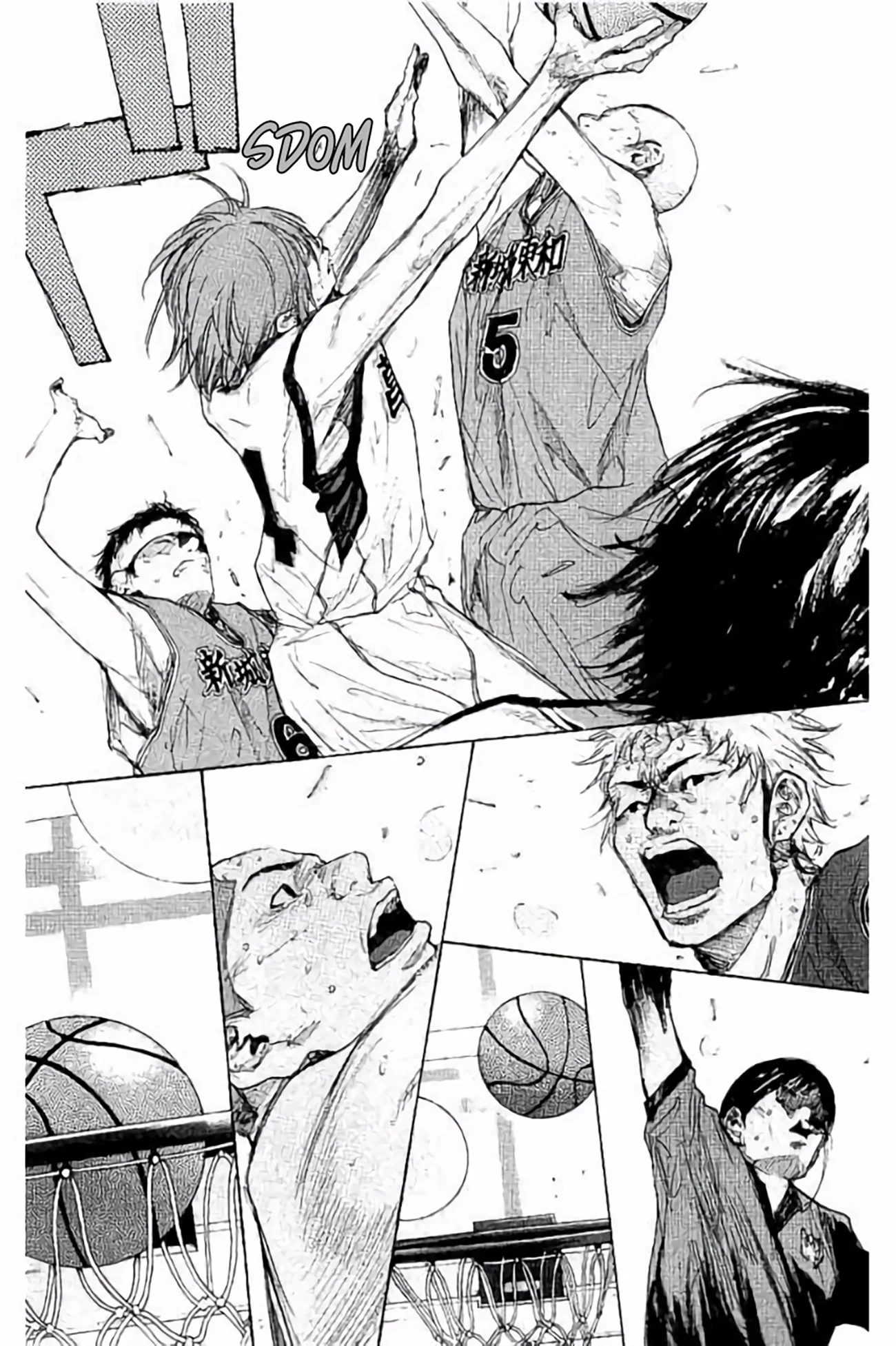 Read Ahiru no Sora ENGLISH Manga Online