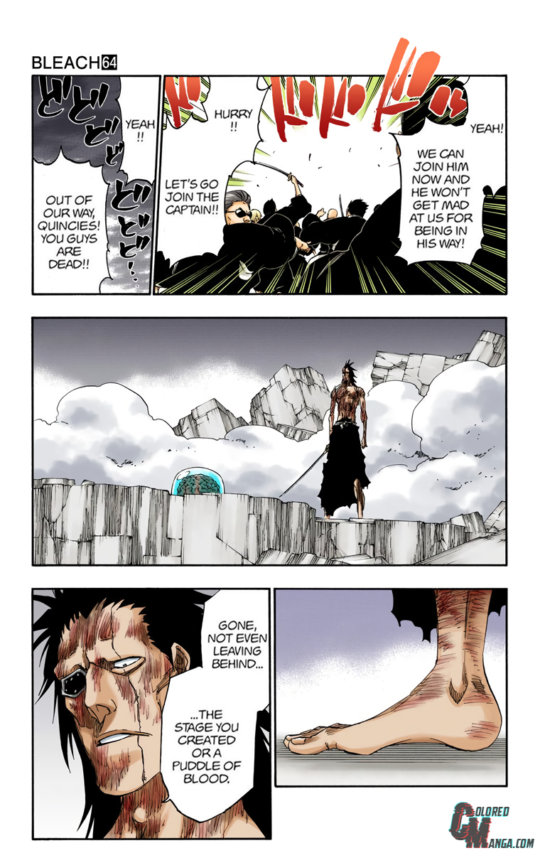 Read Bleach (Colored) ENGLISH Manga Online