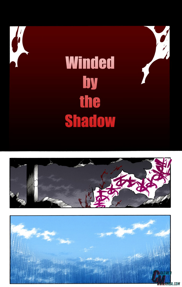 Read Bleach (Colored) ENGLISH Manga Online