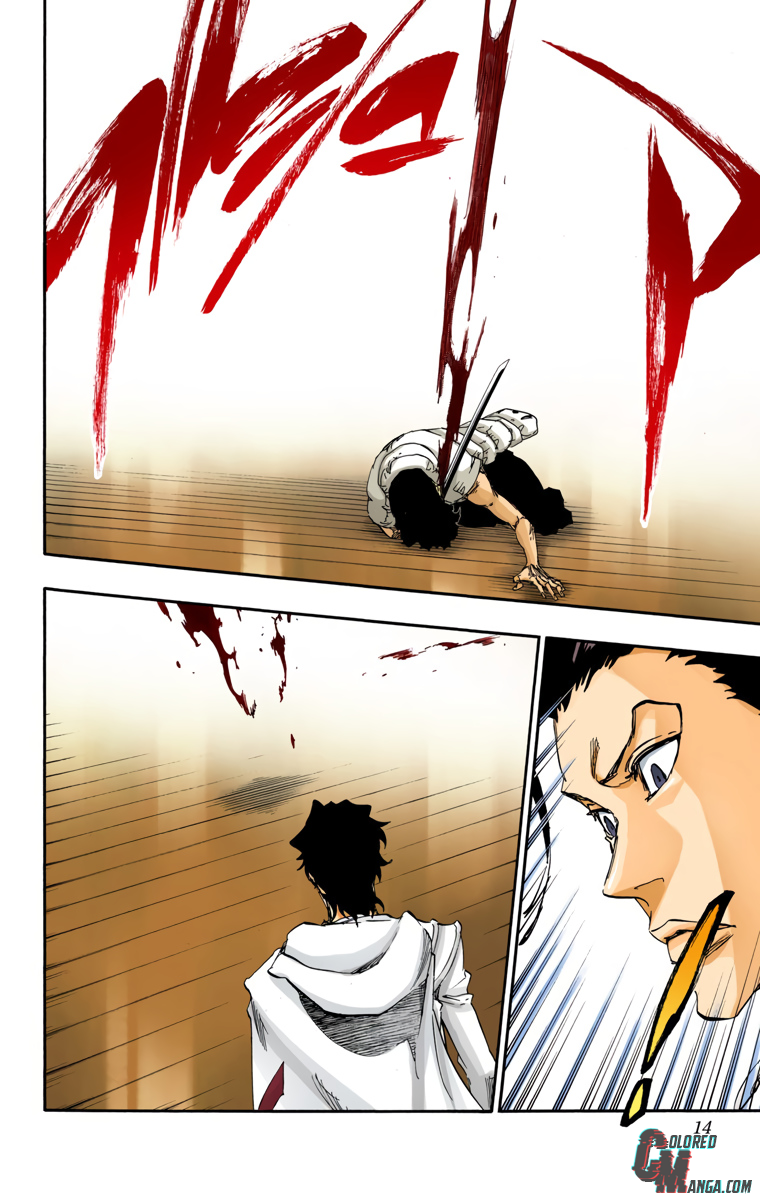Read Bleach (Colored) ENGLISH Manga Online