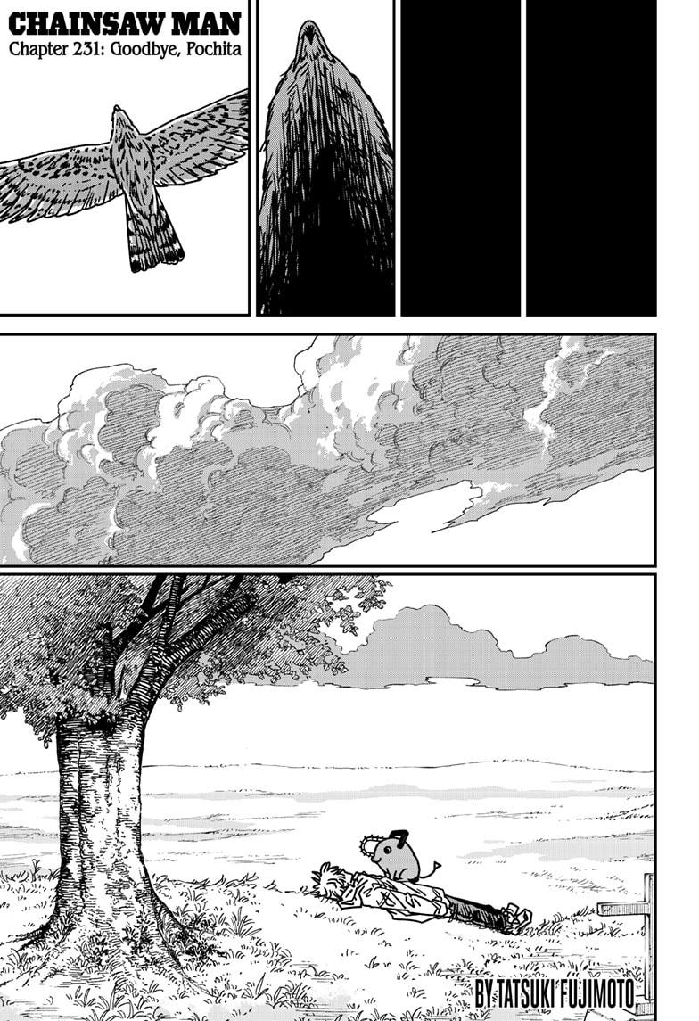 Read Chainsaw Man ENGLISH Manga Online