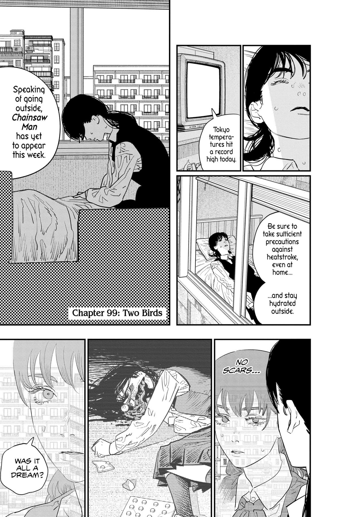 Read Chainsaw Man ENGLISH Manga Online