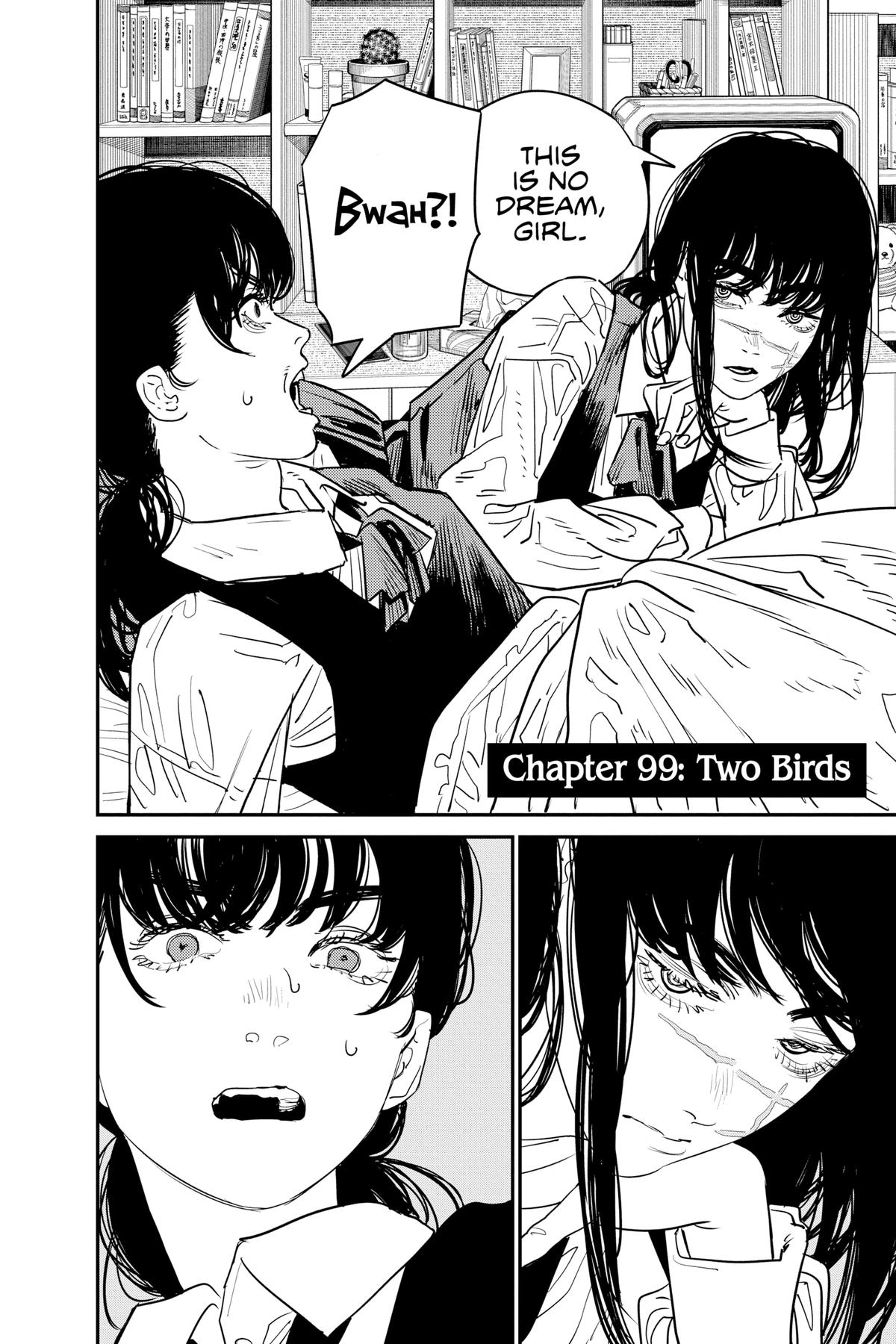 Read Chainsaw Man ENGLISH Manga Online