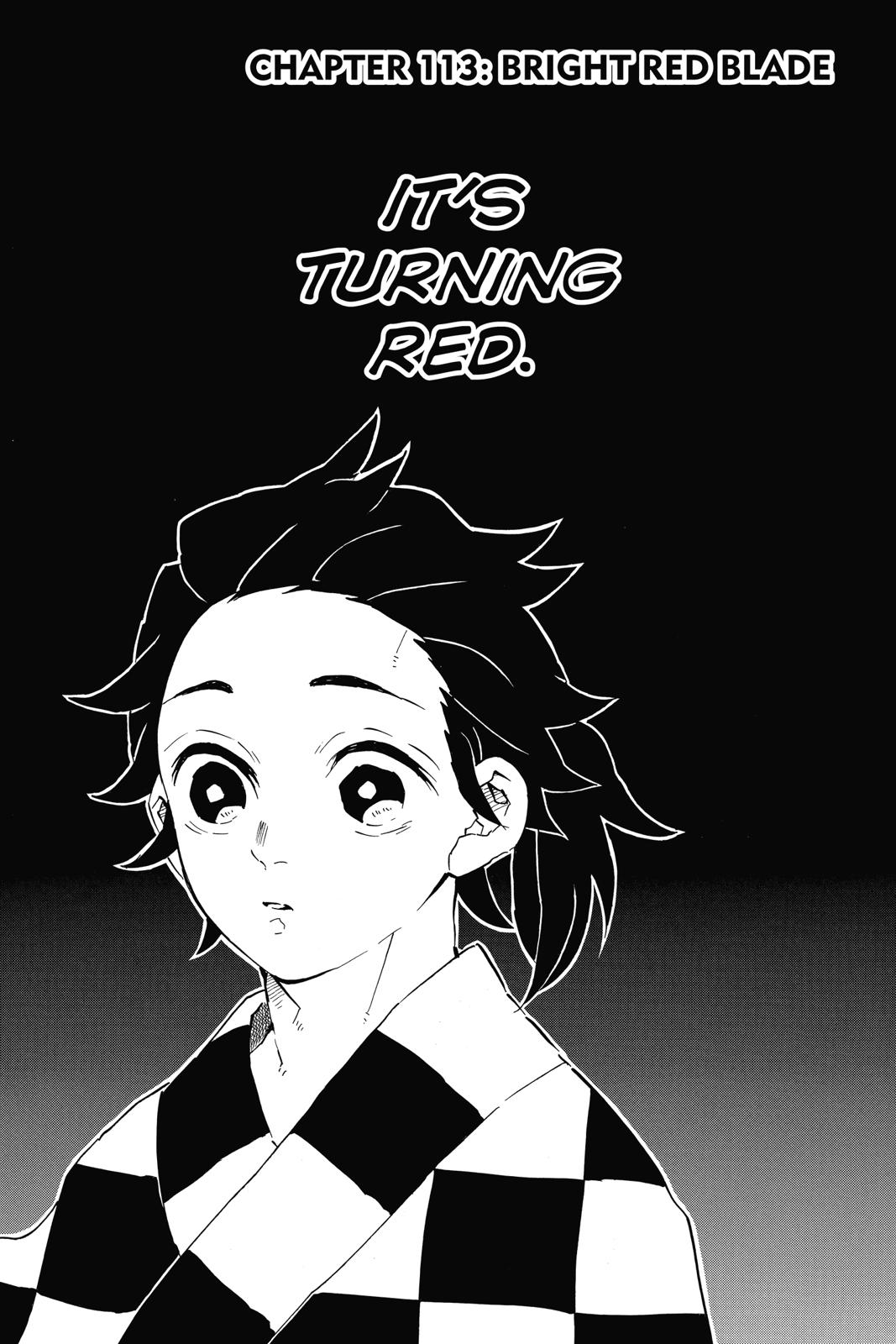 Read Demon Slayer Kimetsu no Yaiba ENGLISH Manga Online
