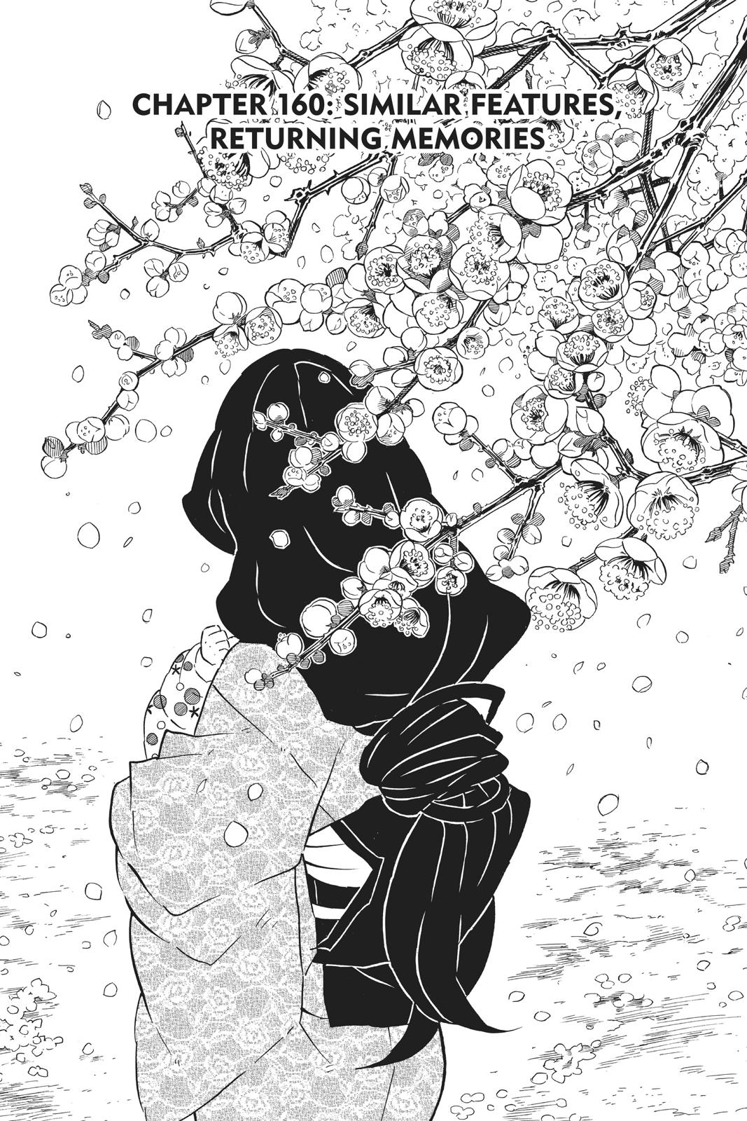 Read Demon Slayer Kimetsu no Yaiba ENGLISH Manga Online