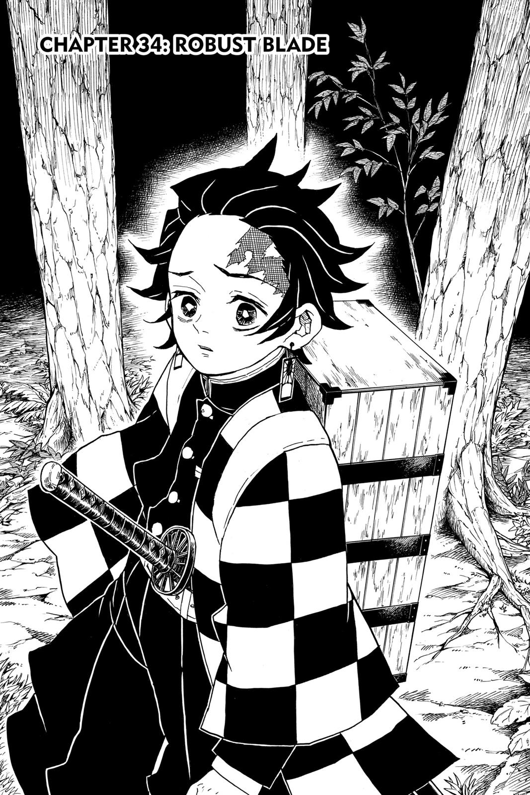 Read Demon Slayer Kimetsu no Yaiba ENGLISH Manga Online