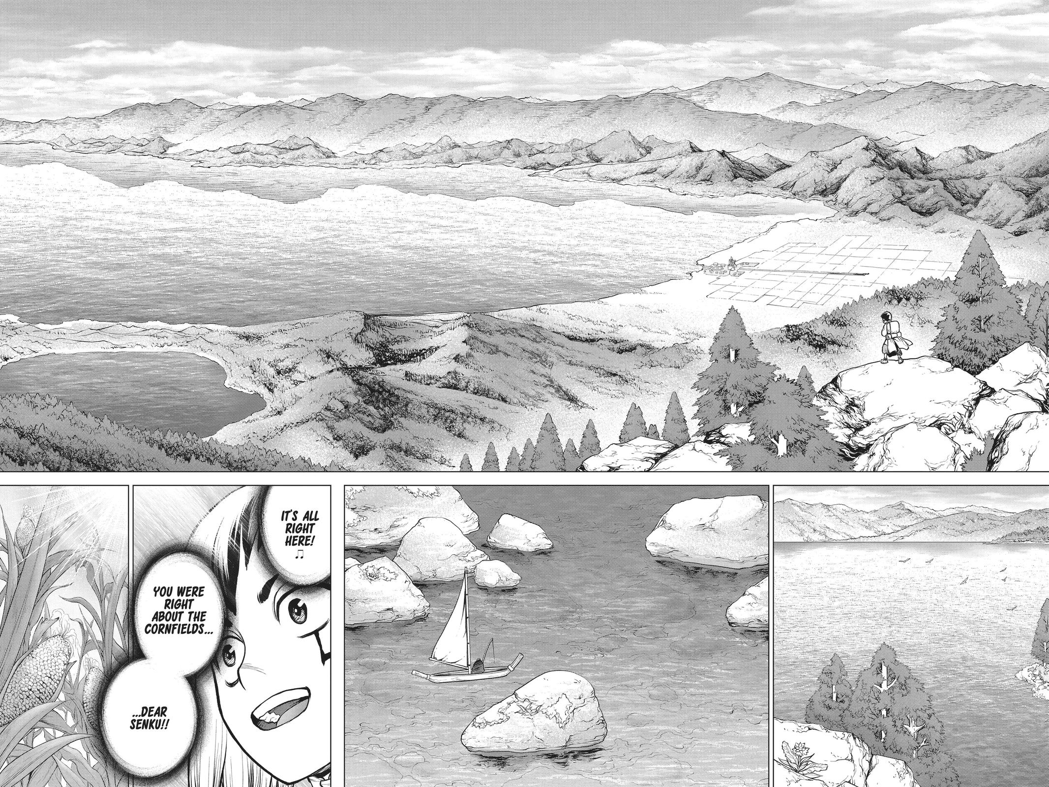 Read Dr. STONE ENGLISH Manga Online