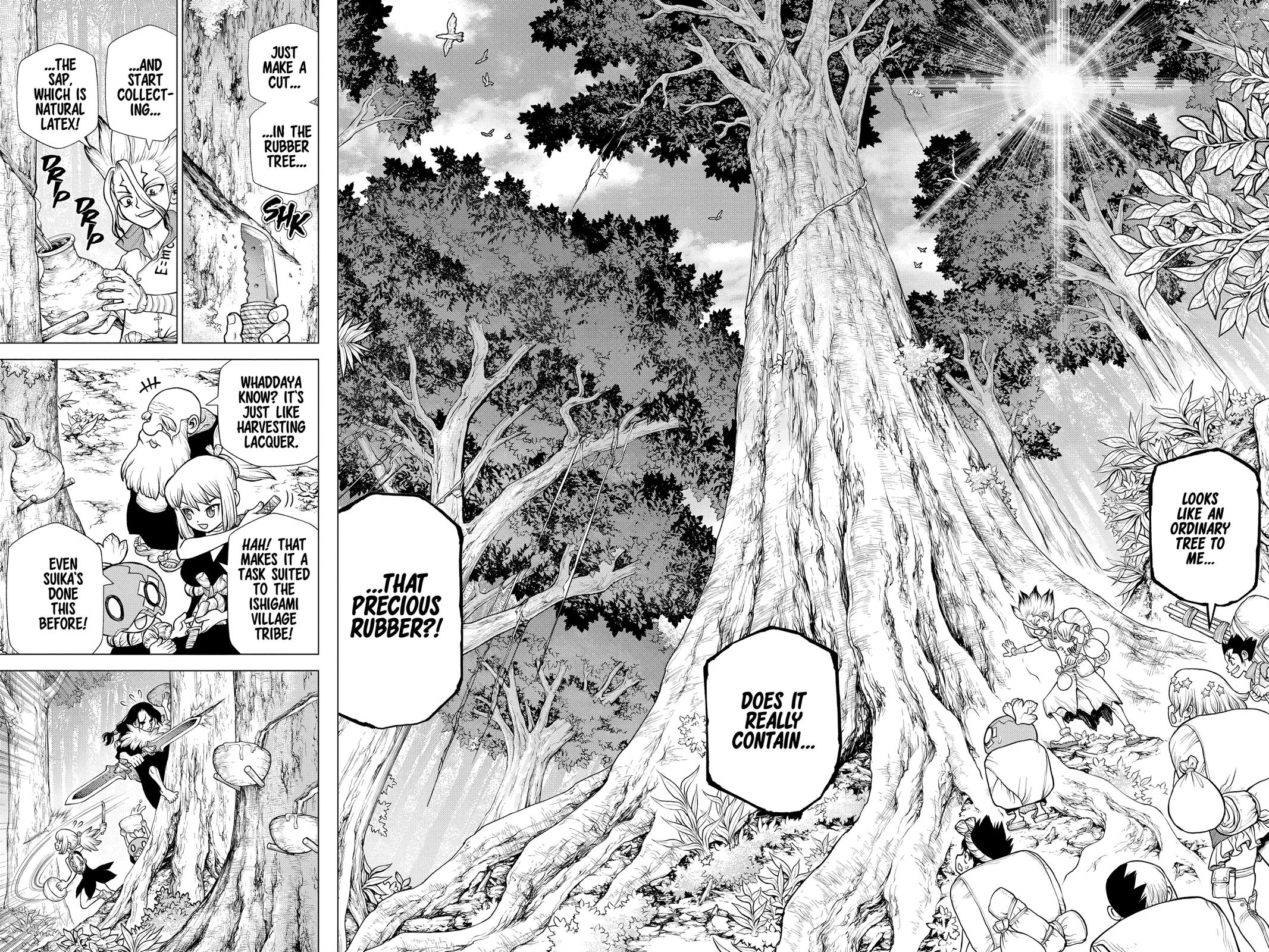 Read Dr. STONE ENGLISH Manga Online