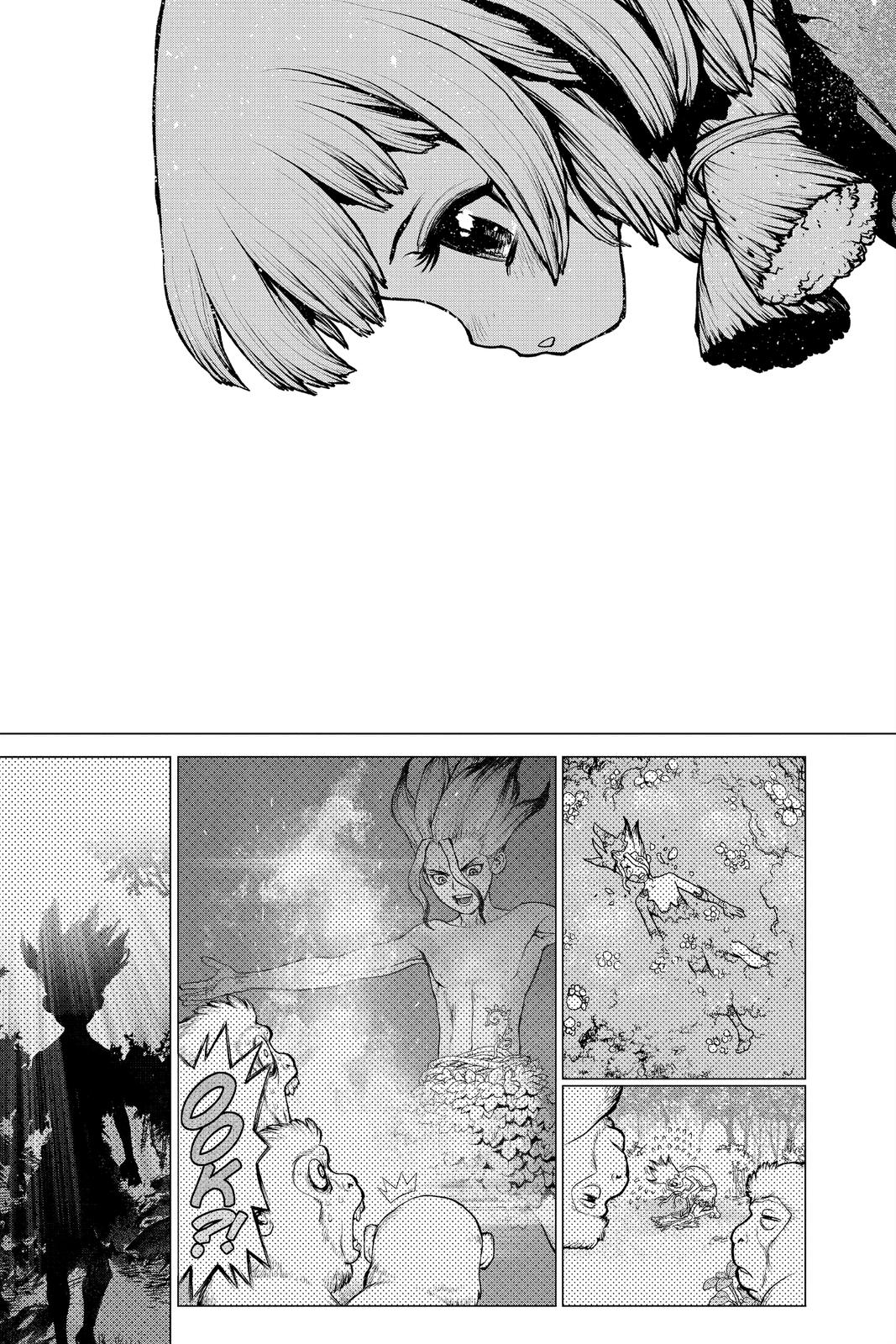 Read Dr. STONE ENGLISH Manga Online
