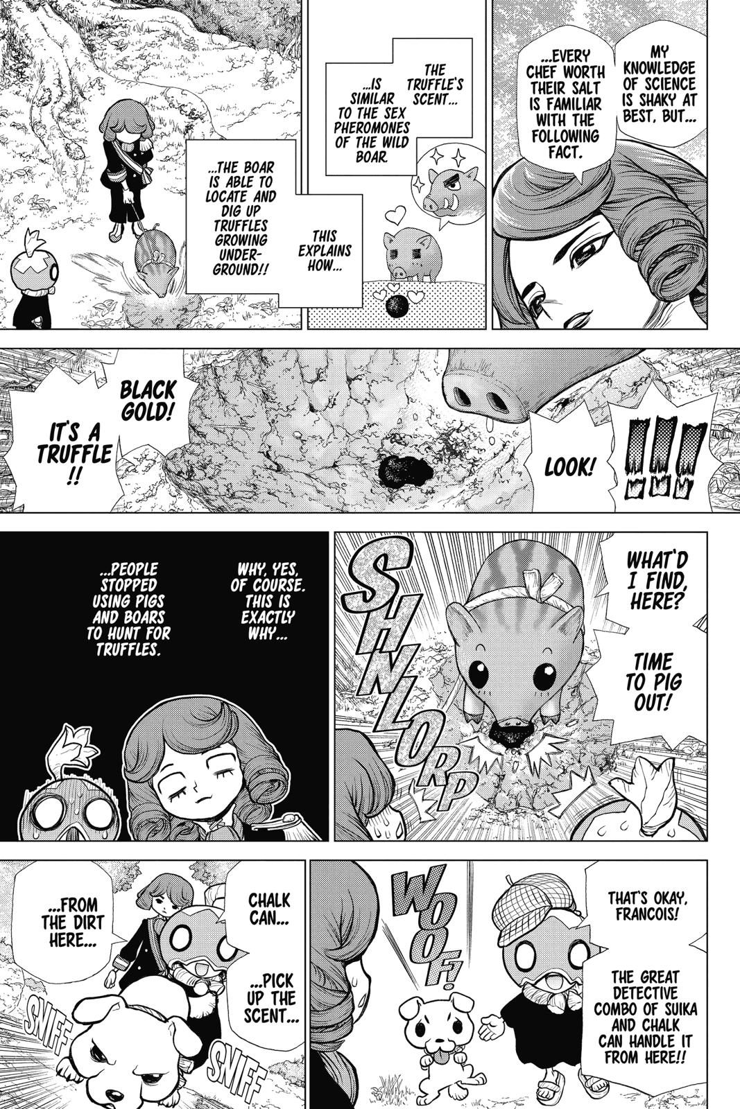 Read Dr. STONE ENGLISH Manga Online