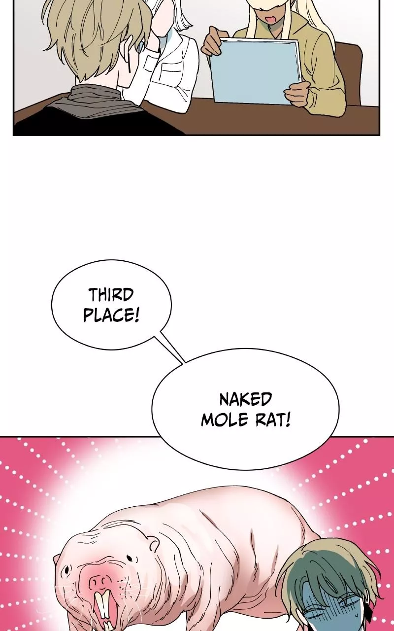 Read False Paradise ENGLISH Manga Online