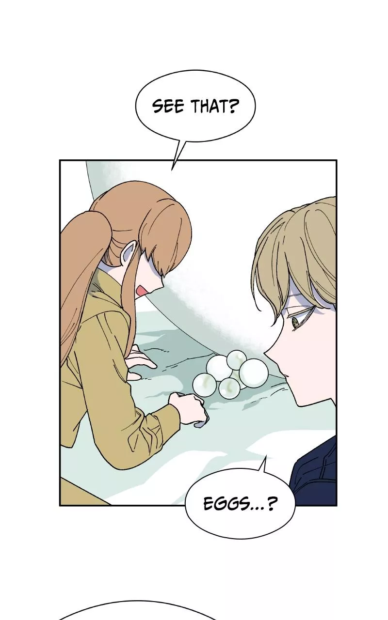 Read False Paradise ENGLISH Manga Online