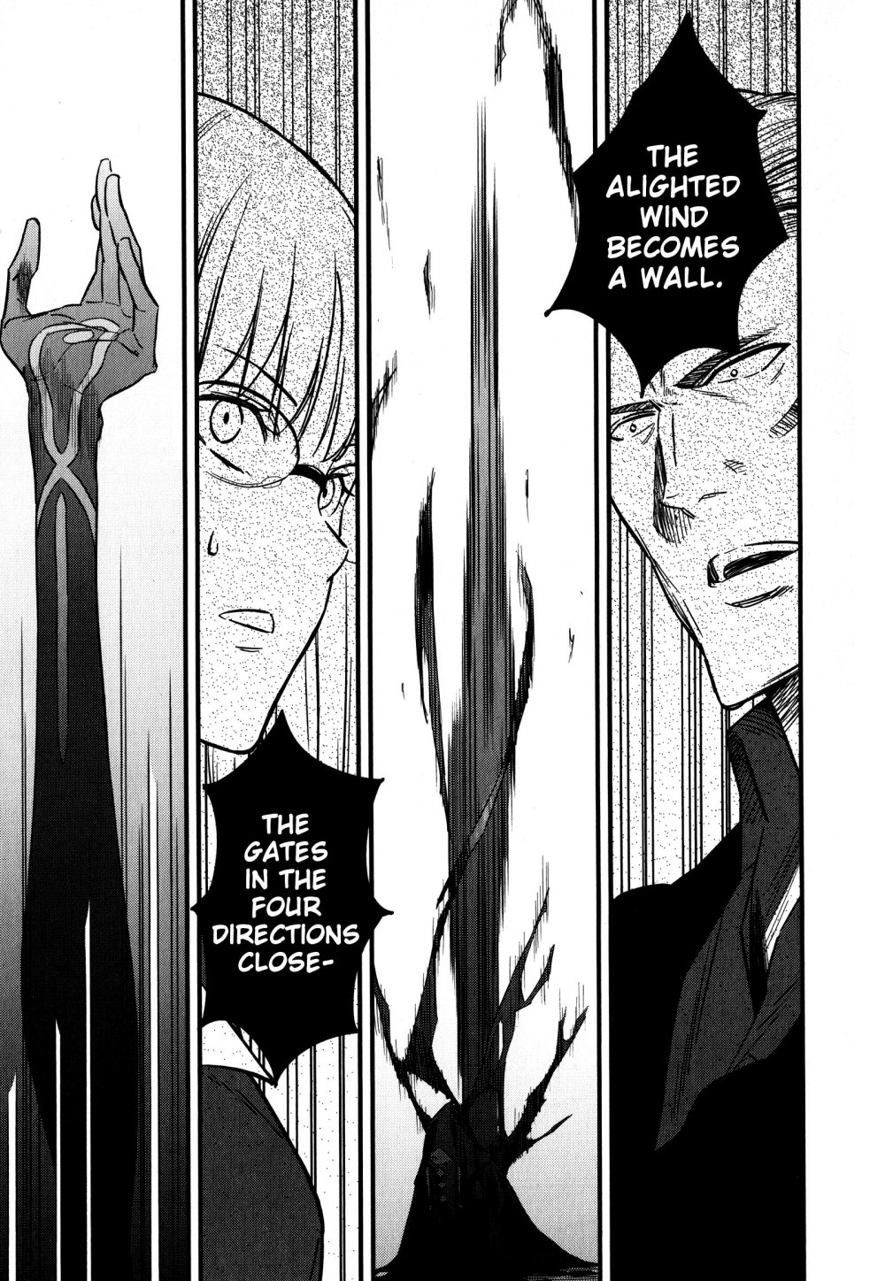 Read Fate Strange Fake ENGLISH Manga Online