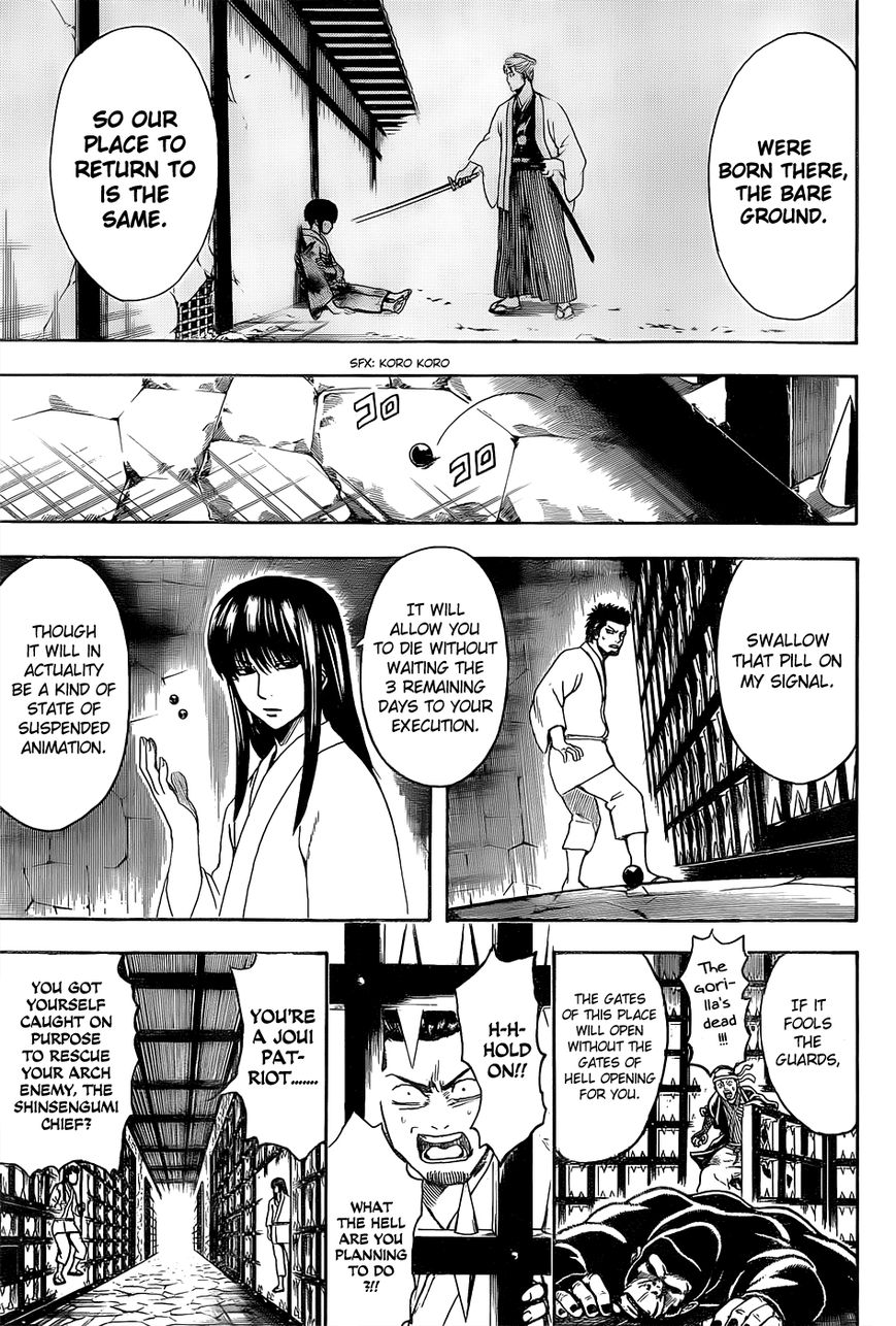 Read Gintama ENGLISH Manga Online
