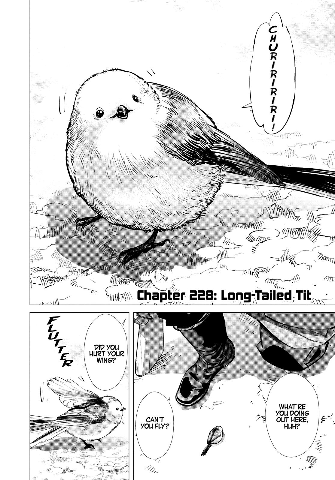 Read Golden Kamuy ENGLISH Manga Online