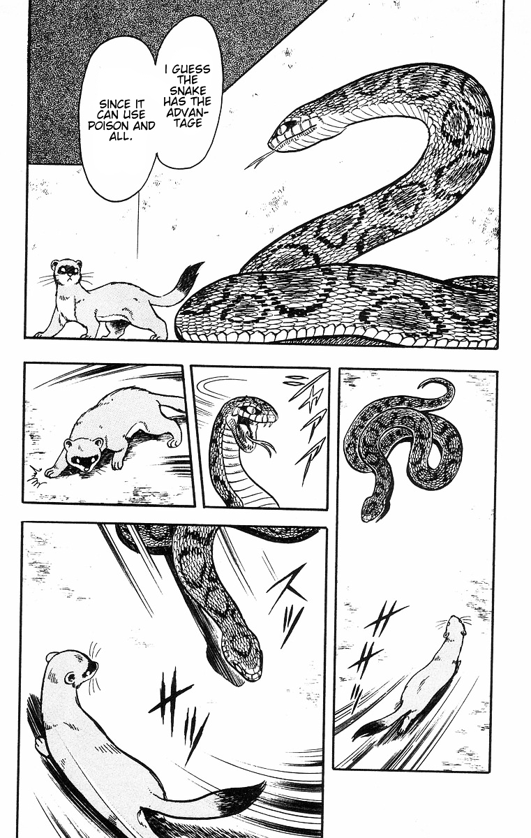 Read Ironfist Chinmi ENGLISH Manga Online