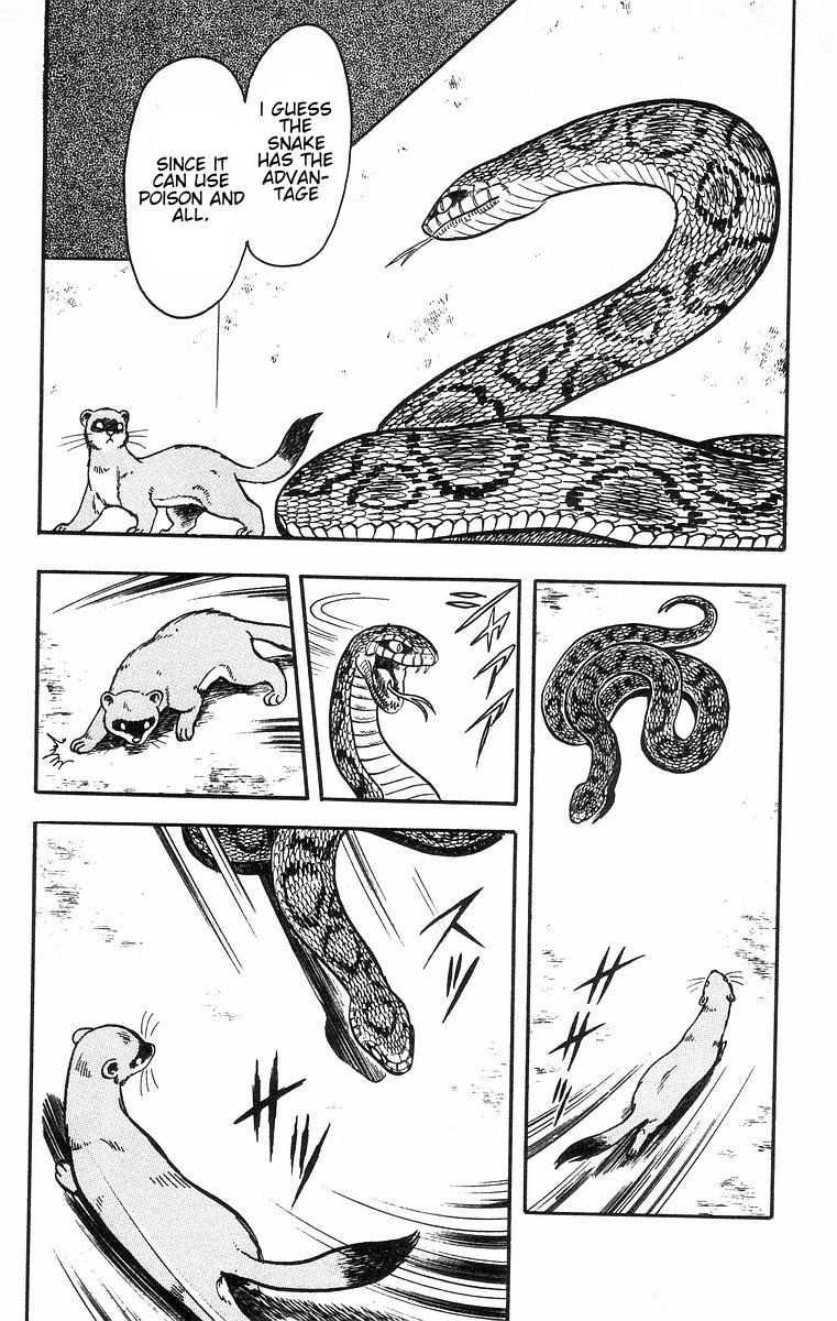 Read Ironfist Chinmi ENGLISH Manga Online