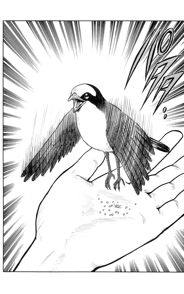 Read Ironfist Chinmi ENGLISH Manga Online