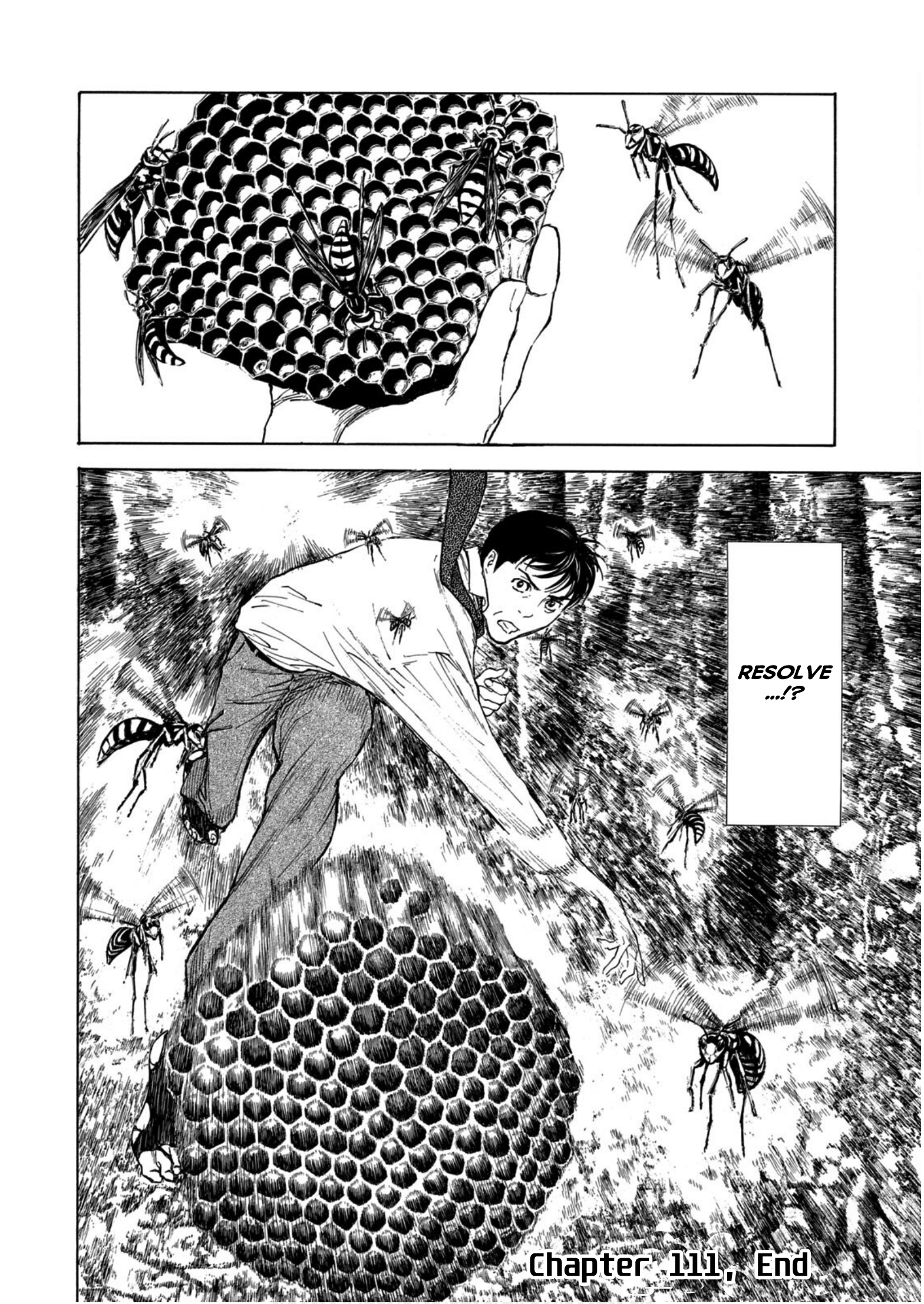 Read My Home Hero ENGLISH Manga Online