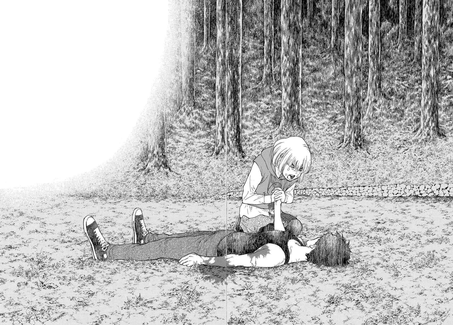 Read My Home Hero ENGLISH Manga Online