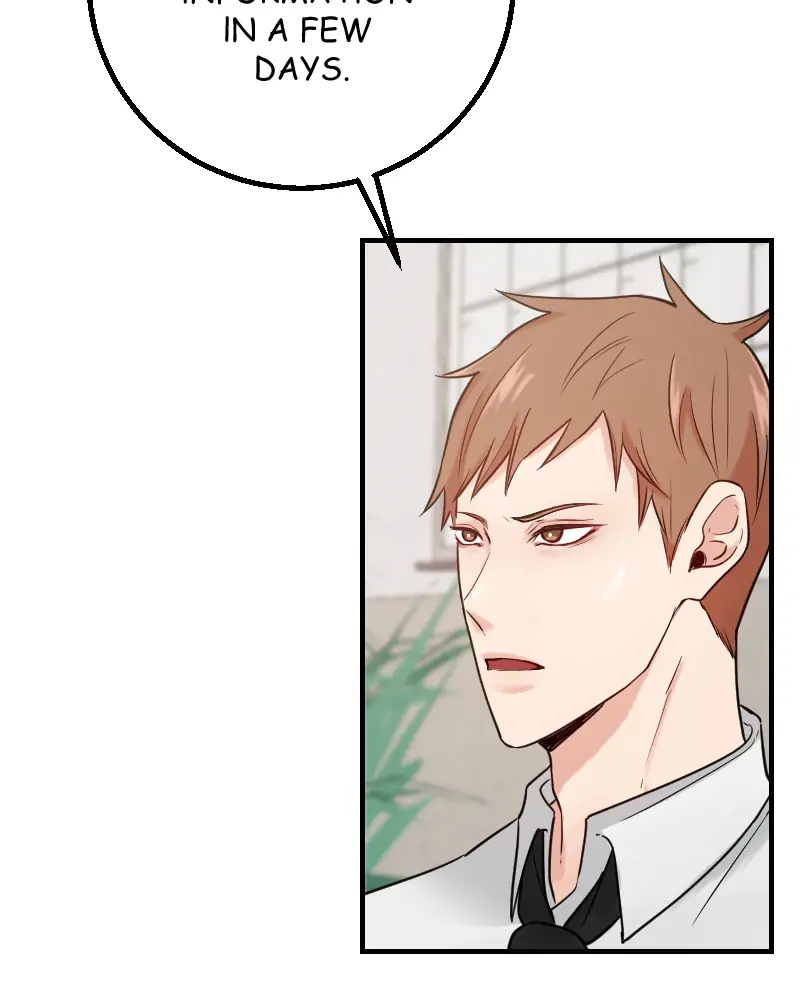 Read My Lovely Bodyguard ENGLISH Manga Online