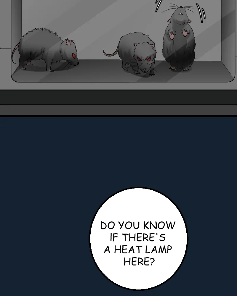 Read My Lovely Bodyguard ENGLISH Manga Online