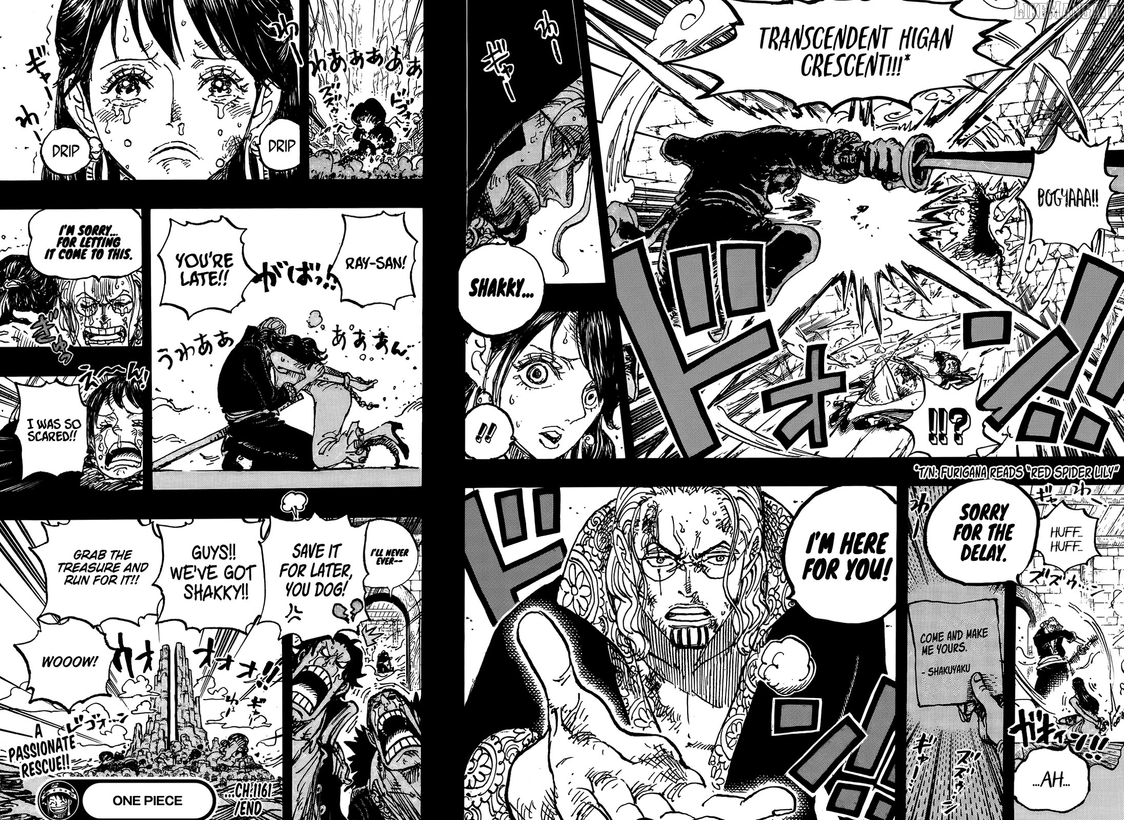 Read One Piece ENGLISH Manga Online