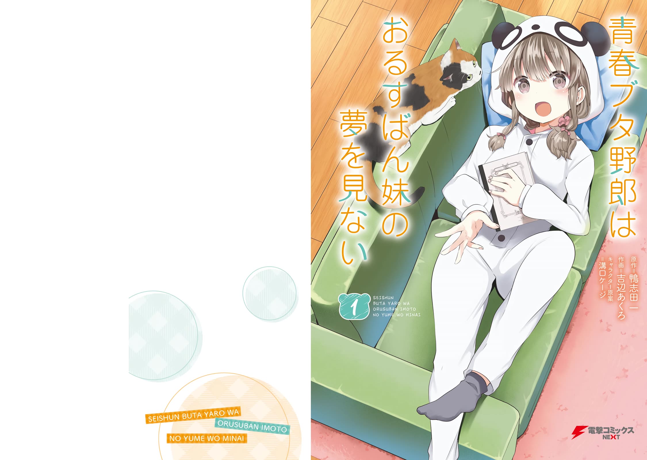 Read Rascal Does Not Dream of a Sister Home Alone ENGLISH Manga Online