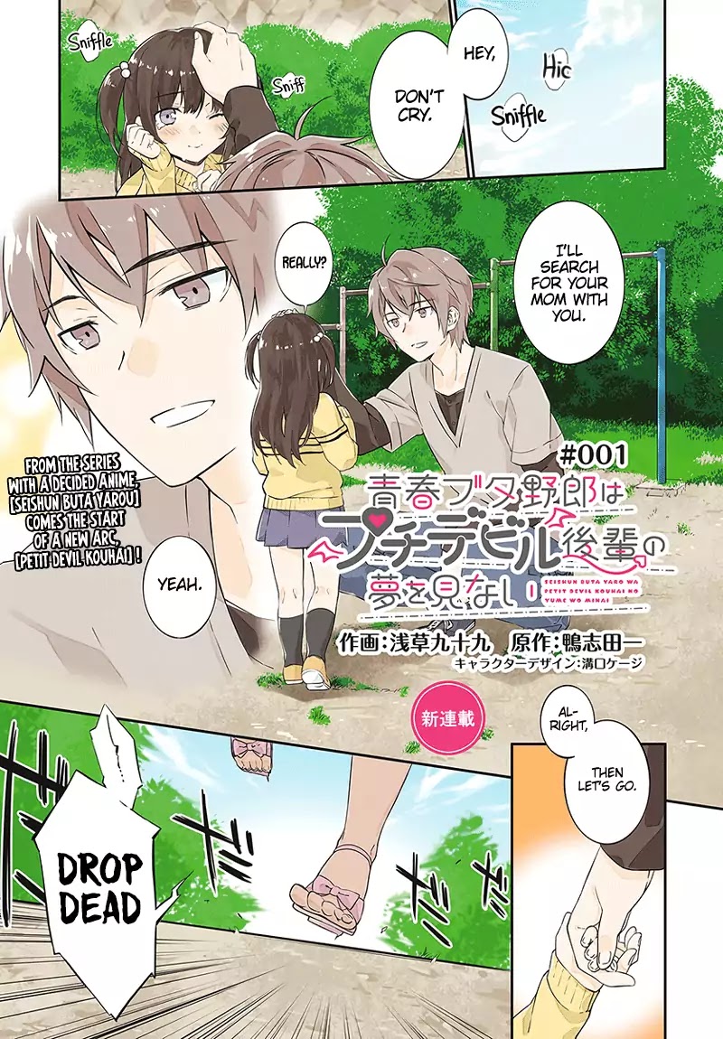 Read Rascal Does Not Dream of the Petite Devil Kohai ENGLISH Manga Online