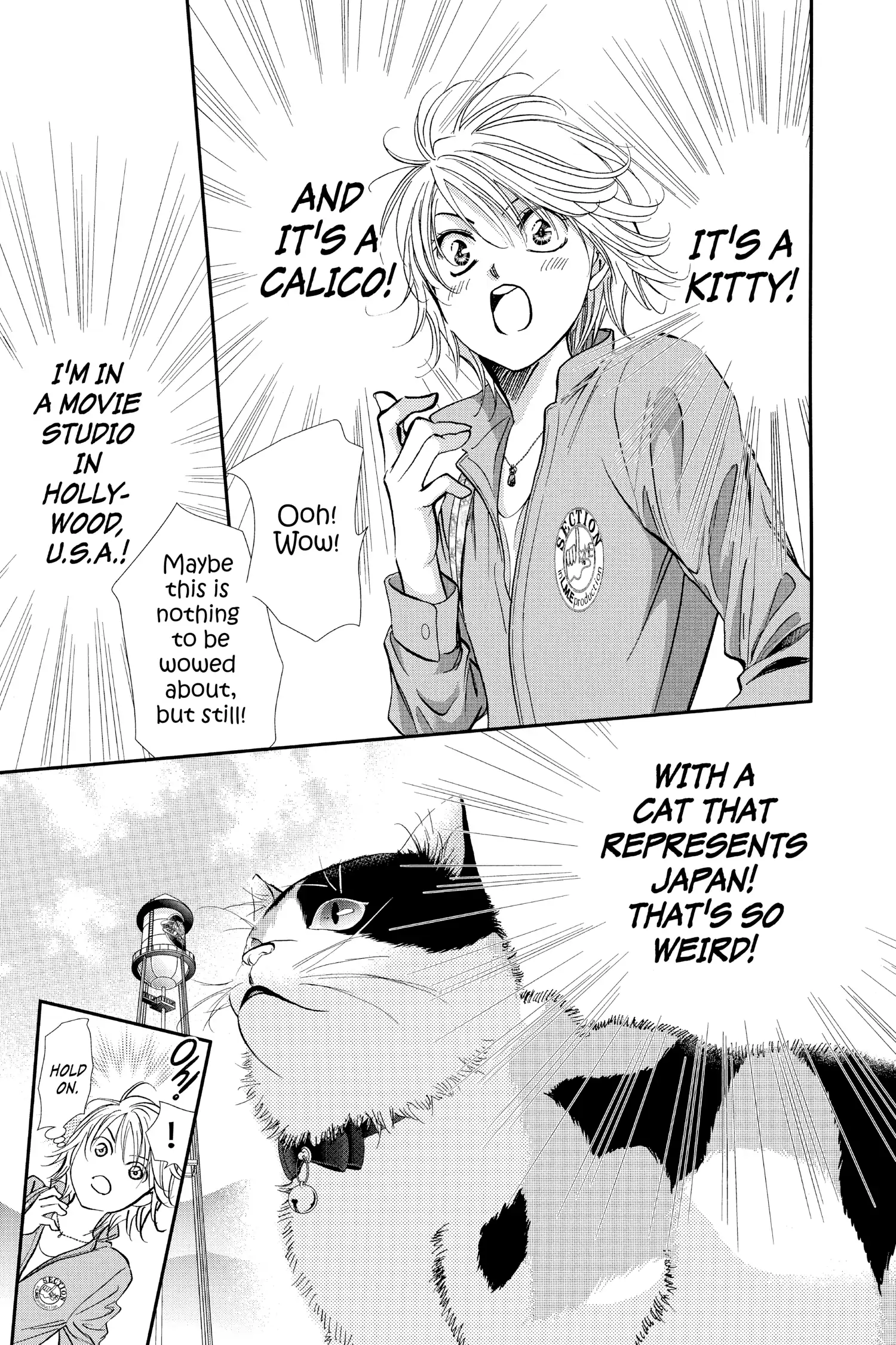 Read Skip Beat! ENGLISH Manga Online