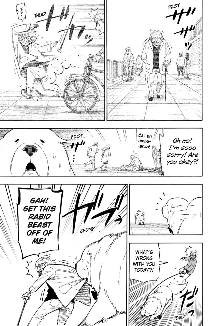 Read Spy x Family ENGLISH Manga Online