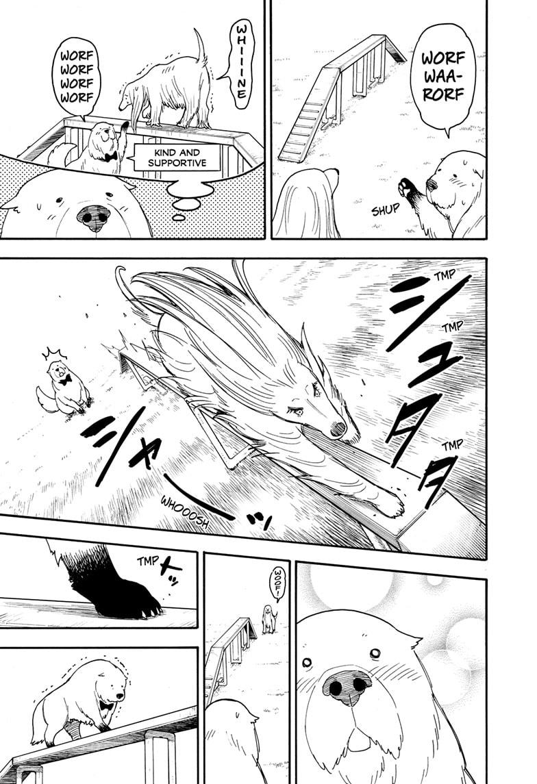 Read Spy x Family ENGLISH Manga Online