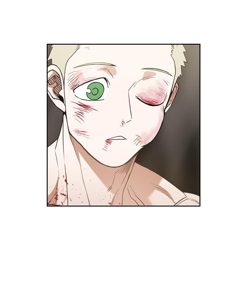 Read The Boxer ENGLISH Manga Online