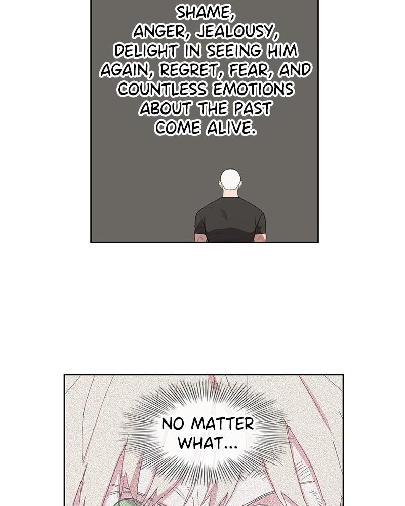 Read The Boxer ENGLISH Manga Online