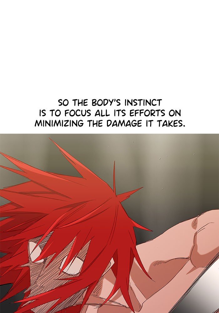 Read The Boxer ENGLISH Manga Online