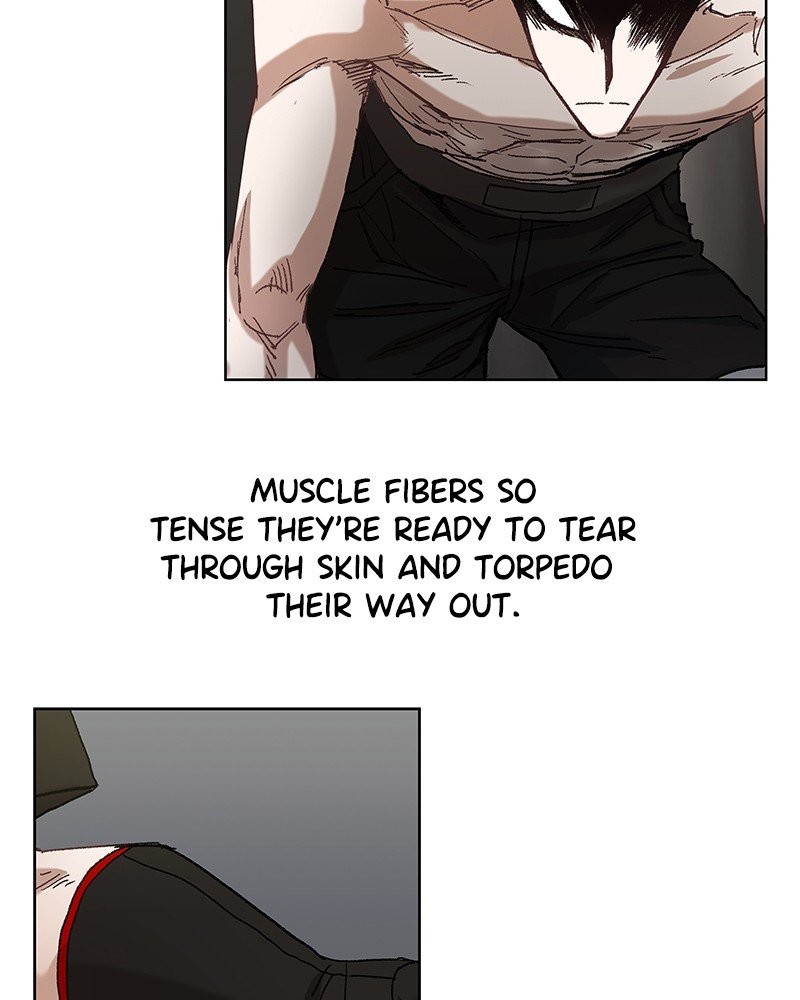 Read The Boxer ENGLISH Manga Online