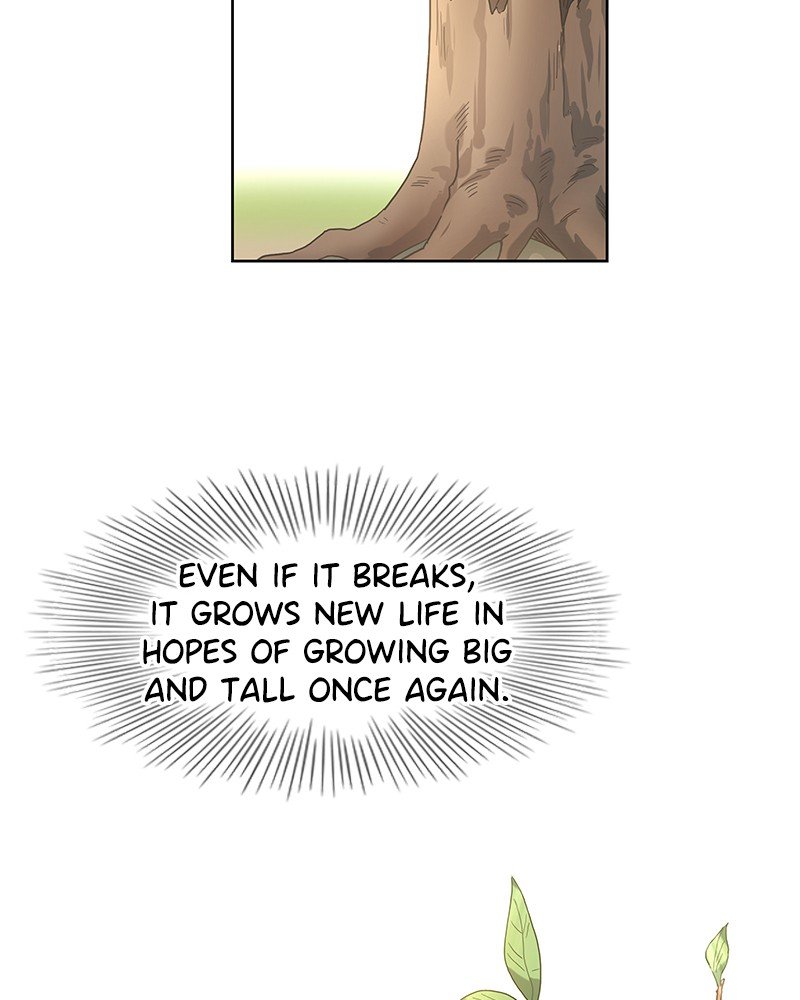 Read The Boxer ENGLISH Manga Online
