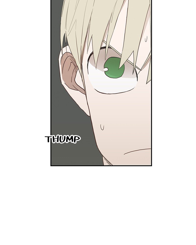Read The Boxer ENGLISH Manga Online