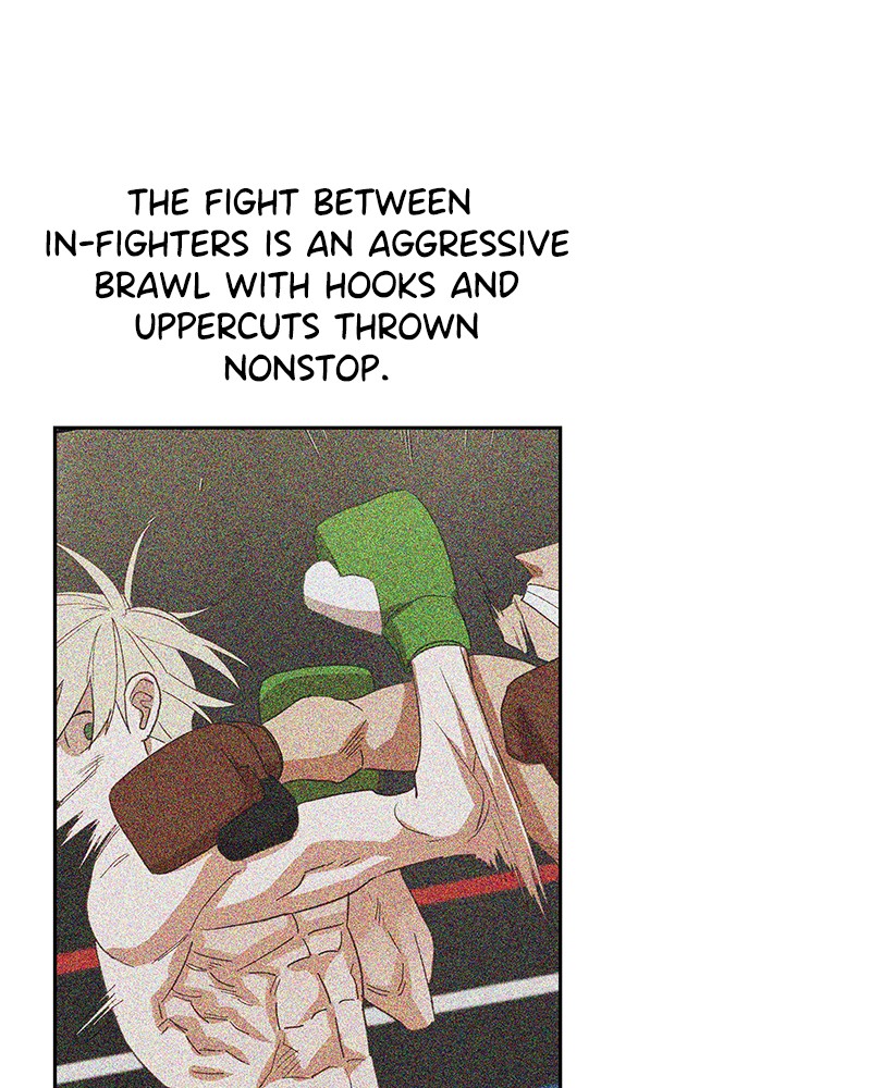 Read The Boxer ENGLISH Manga Online