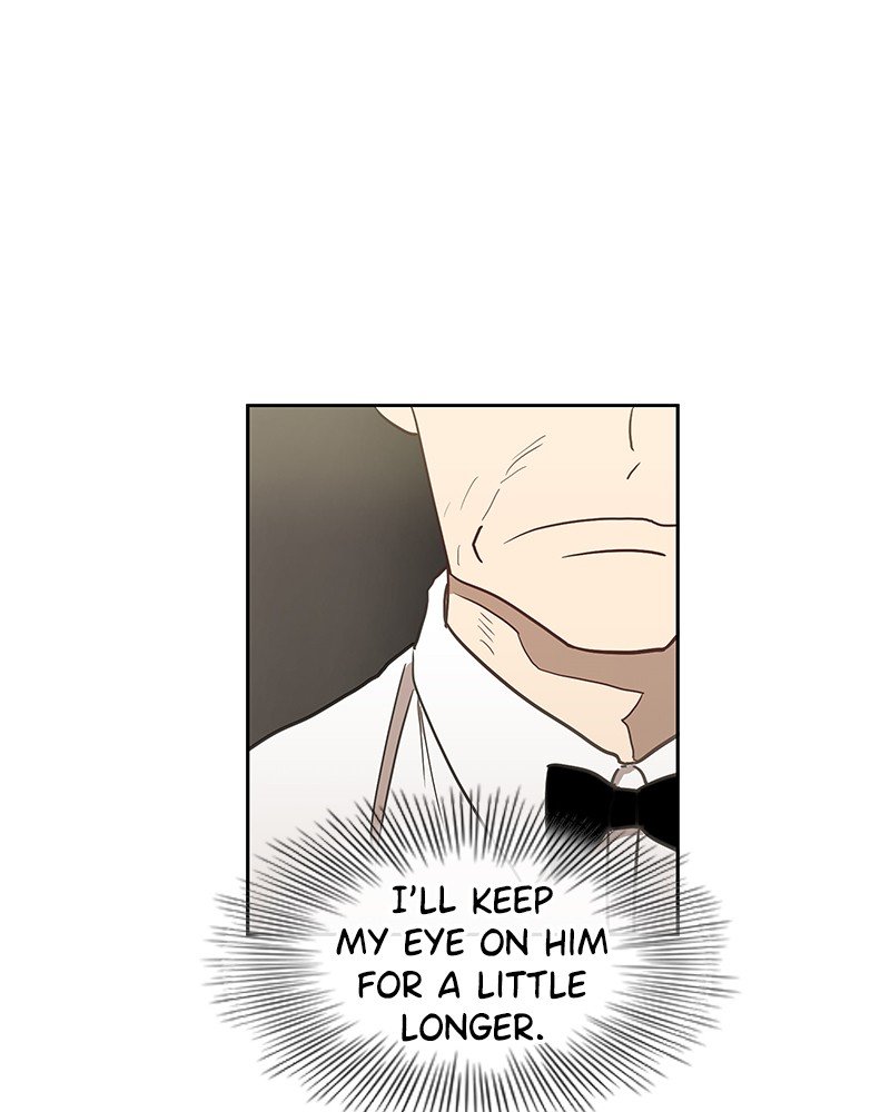 Read The Boxer ENGLISH Manga Online