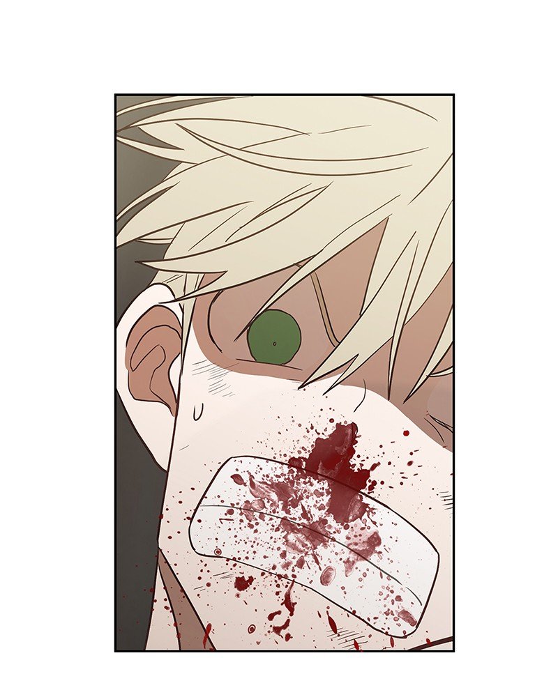 Read The Boxer ENGLISH Manga Online