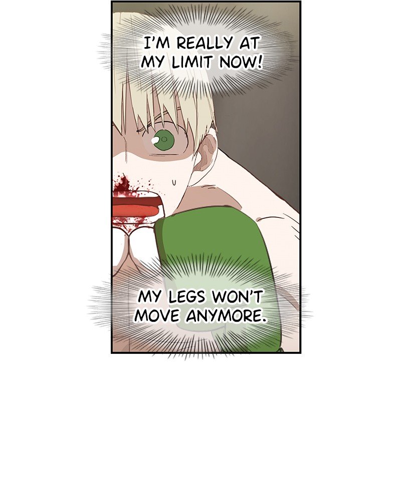 Read The Boxer ENGLISH Manga Online