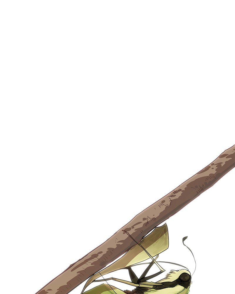 Read The Boxer ENGLISH Manga Online