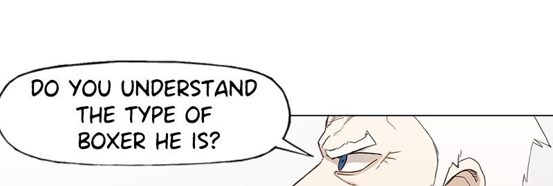 Read The Boxer ENGLISH Manga Online