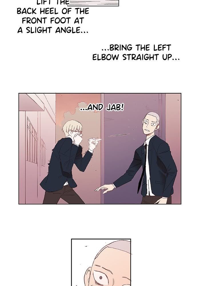 Read The Boxer ENGLISH Manga Online